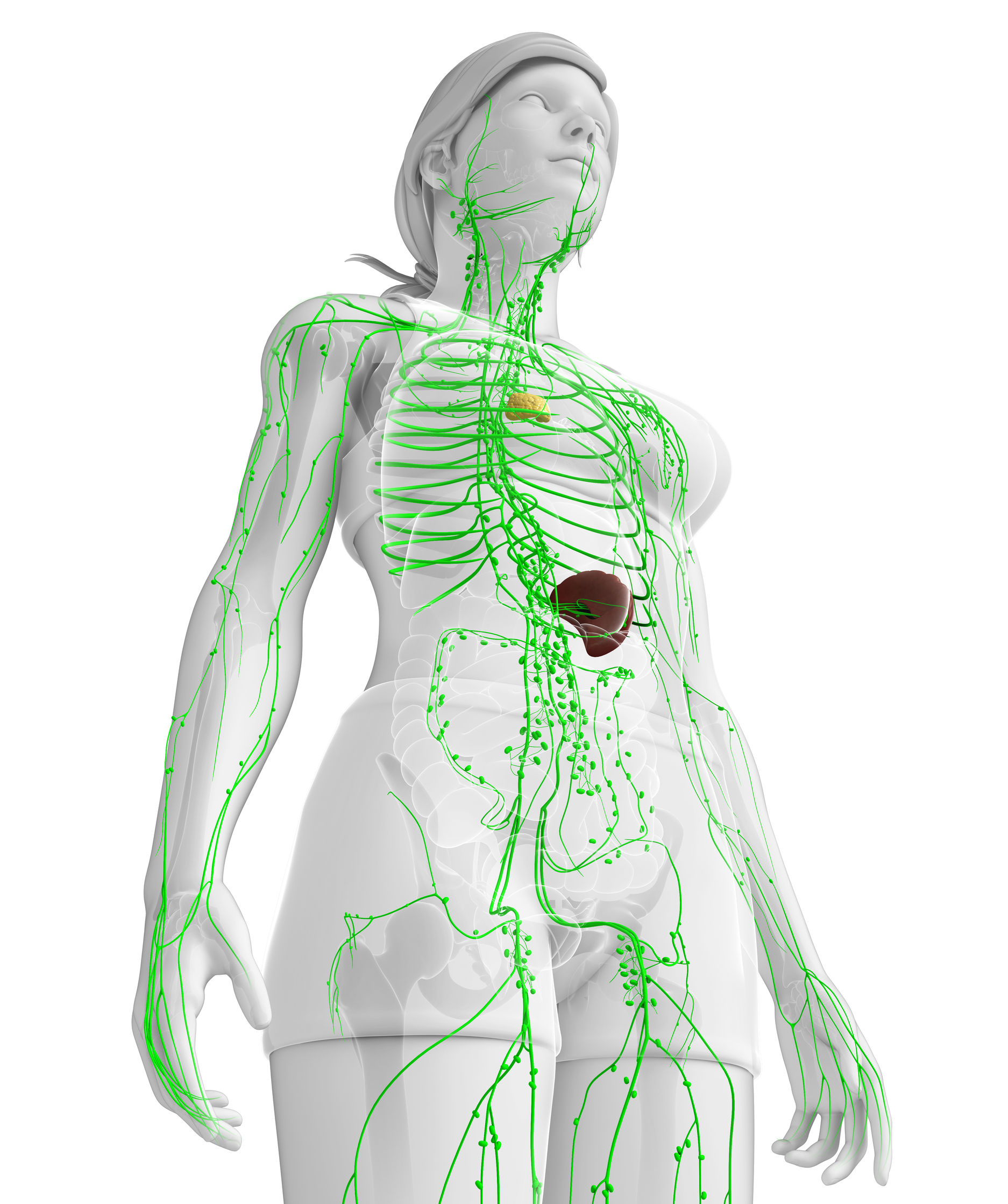 Méregtelenítsünk királydinnyével!