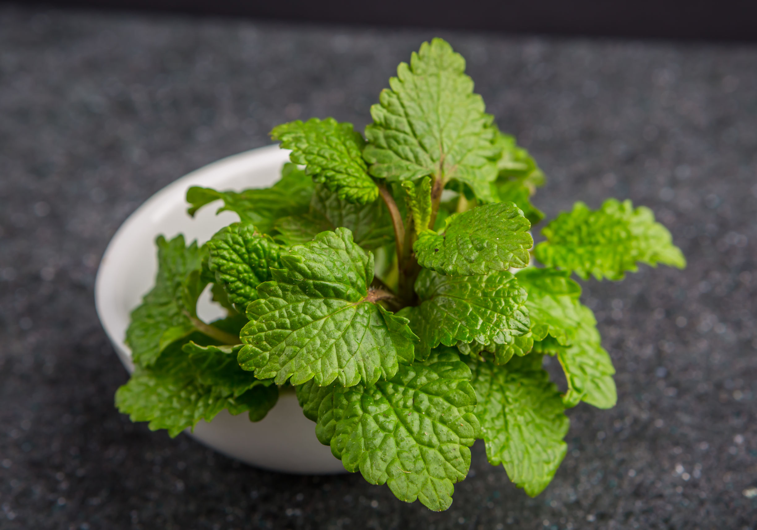 A citromfű mint konyhai alapanyag