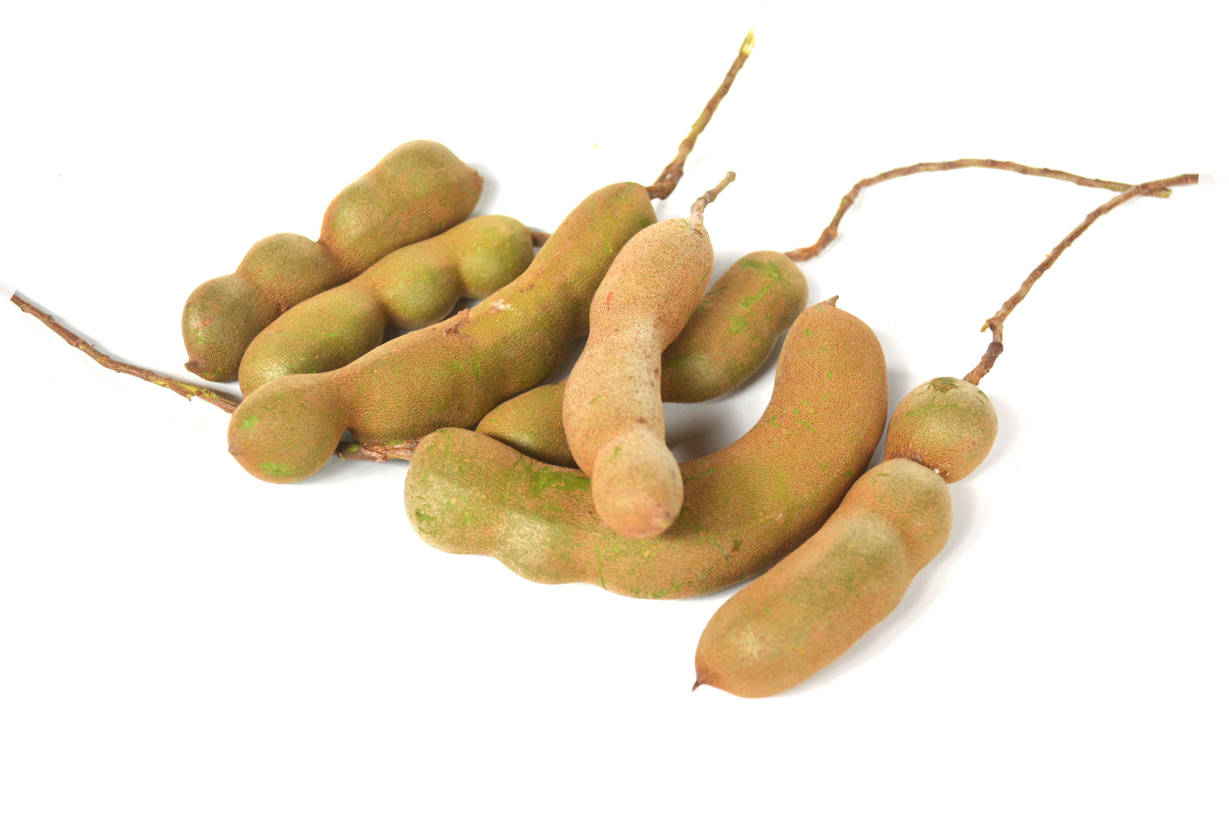 Mi fán terem a tamarin?