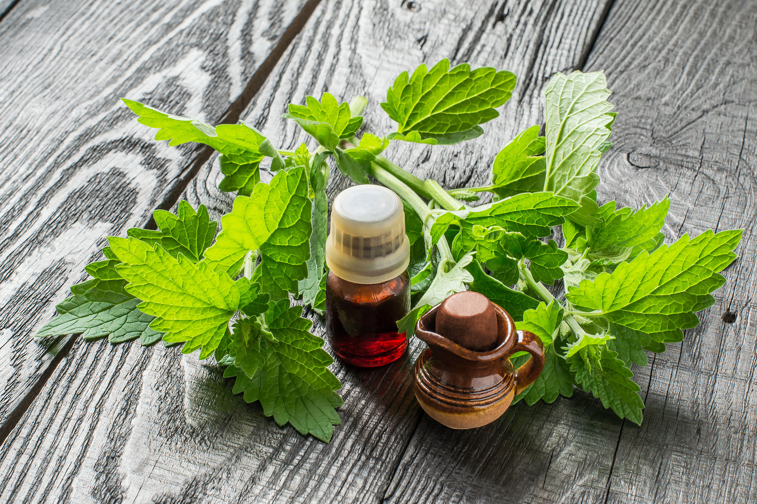 A citromfű hatása az emésztésre