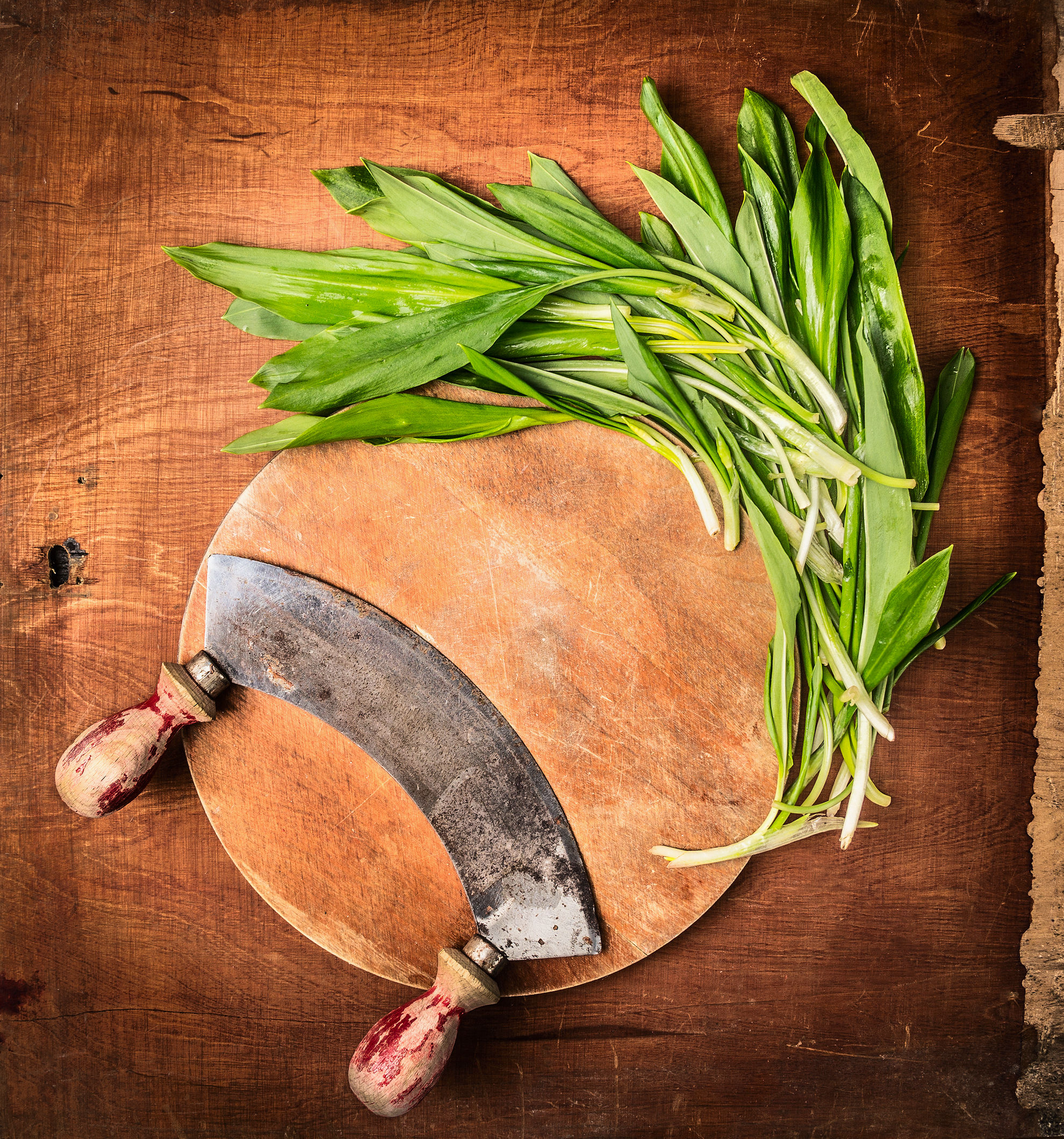 Töltődjünk fel tavasszal a medvehagyma gazdag beltartalmi értékeivel