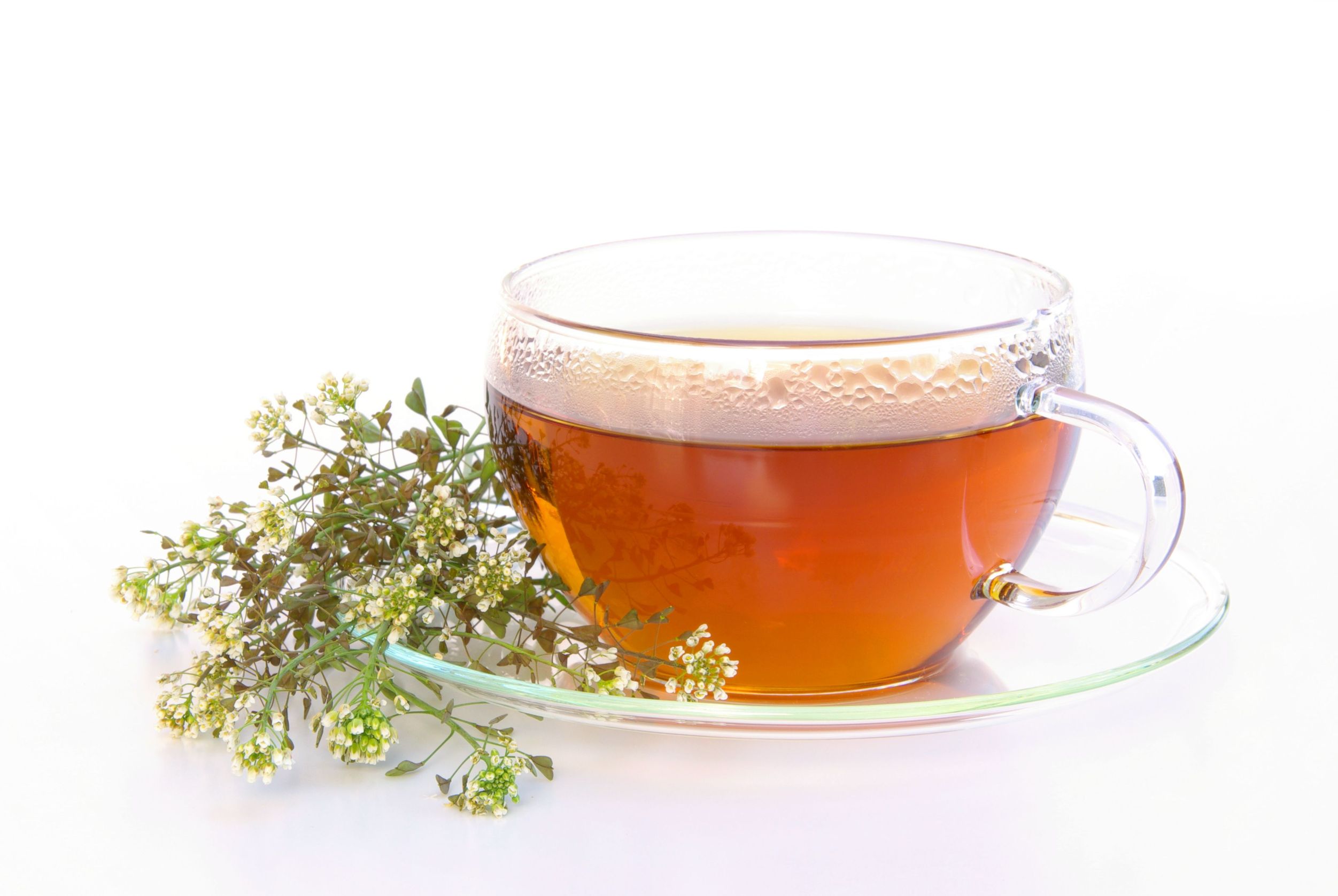 Női bajokra: pásztortáska