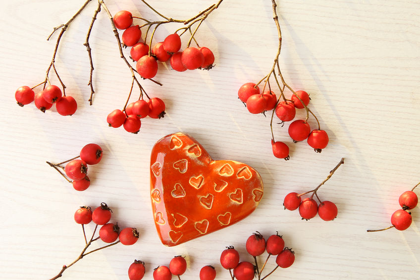 Galagonya, a szív őre 1.